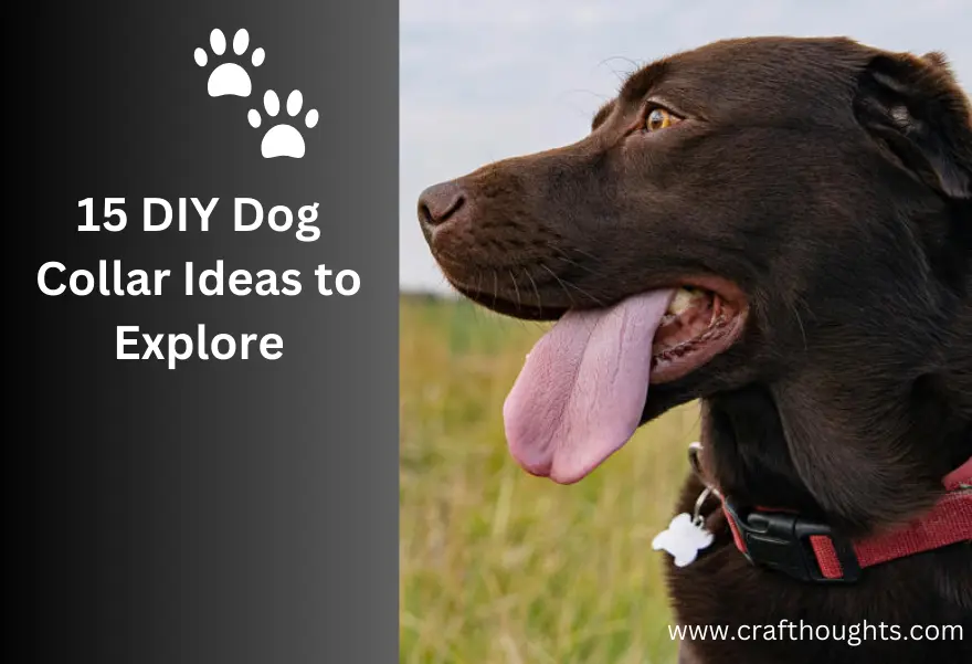 15 DIY Dog Collar Ideas to Explore